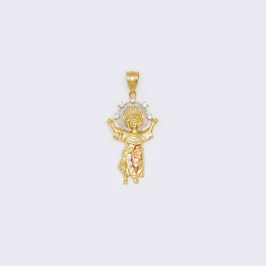 14K CZ Divino Niรฑo Pendant in 14K Tri-Color