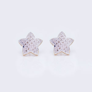 10K Star 0.48ct Diamond Stud Earrings 10K Star 0.48ct Diamond Stud Earrings