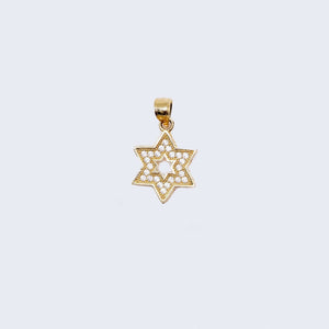 14K Gold David's Star with Cubic Zirconia Stones Pendant Charm 14K Gold David's Star with Cubic Zirconia Stones Pendant Charm
