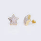 14K Double-Layer Star Cluster 0.33ct Stud Earrings