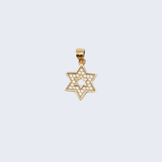 14K Gold David's Star with Cubic Zirconia Stones Pendant Charm